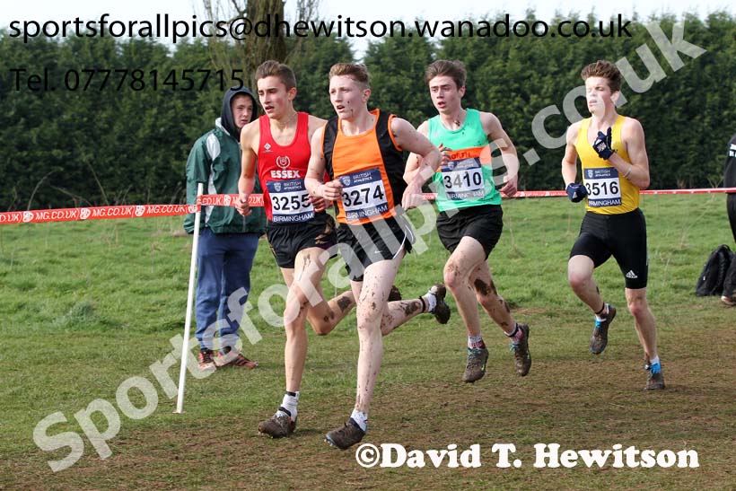 Zak Miller (Greater Manchester) and Jordan Rowe (Essex) lead from Iolo Llyr Hughes (North Wales) and Jack Crabtree(Surrey) during the under-17 mens Inter Counties Cross Country, Cofton Park, Birmingham. Photo: David T. Hewitson/Sports for All Pics
